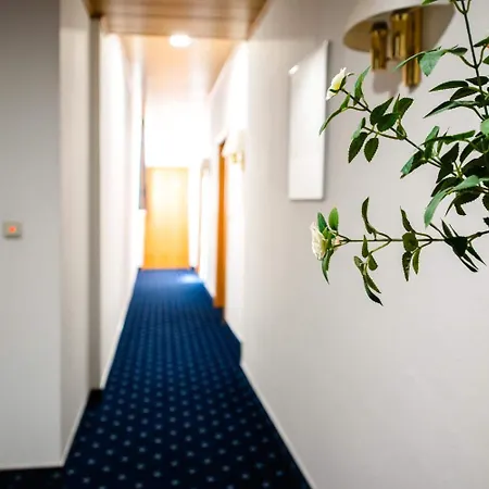 Fraenkischer Hof 3*