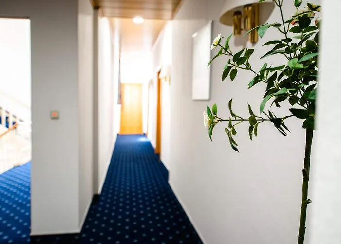 Fraenkischer Hof 3*