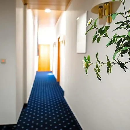 Fraenkischer Hof Отель 3*